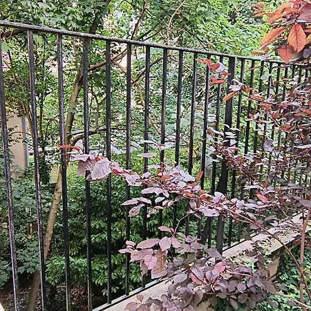 Charming Guesthouse 7Min From Eiffel Tower ホームステイ パリ