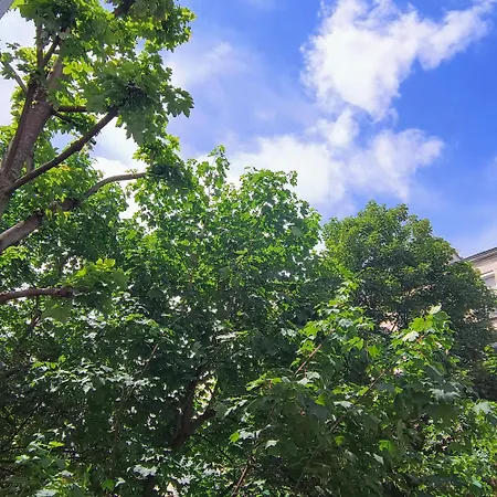 Historical Montparnasse Homestay Paris